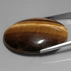 Tiger's Eye طبيعي بلون بني ذهبي، وزن ‎76.52‎ قيراط، شكل بيضاوى، مقاس ‎39.9x29.9‎ مم