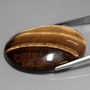 عين النمر ذهب البنى طبيعي، قصة بيضاوى، 75.54 قيراط، غير شفاف