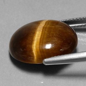 Tiger's Eye طبيعي بلون بني ذهبي، وزن ‎11.35‎ قيراط، شكل بيضاوى، مقاس ‎17.2x14.5‎ مم