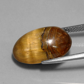 Tiger's Eye طبيعي بلون بني ذهبي، وزن ‎12.90‎ قيراط، شكل بيضاوى، مقاس ‎17.8x11.8‎ مم