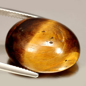 Tiger's Eye طبيعي بلون بني ذهبي، وزن ‎24.55‎ قيراط، شكل بيضاوى، مقاس ‎20.8x16.4‎ مم