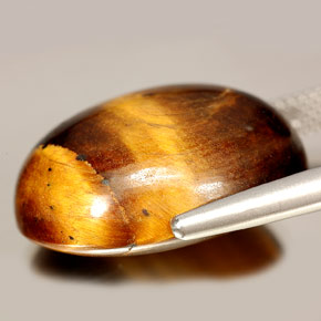 Tiger's Eye طبيعي بلون بني ذهبي، وزن ‎24.55‎ قيراط، شكل بيضاوى، مقاس ‎20.8x16.4‎ مم