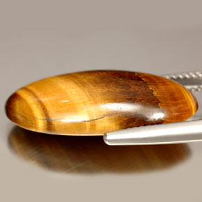 Tiger's Eye طبيعي بلون بني ذهبي، وزن ‎14.67‎ قيراط، شكل بيضاوى، مقاس ‎24.8x12.3‎ مم