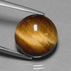 Tiger's Eye طبيعي بلون بني ذهبي، وزن ‎11.12‎ قيراط، شكل دائري، مقاس ‎14.88‎ مم