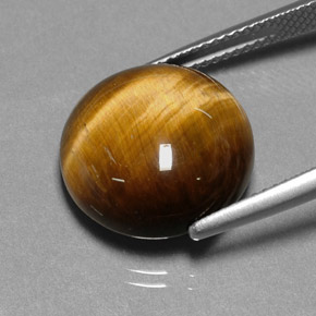 Tiger's Eye طبيعي بلون بني ذهبي، وزن ‎11.12‎ قيراط، شكل دائري، مقاس ‎14.88‎ مم