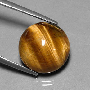 Tiger's Eye طبيعي بلون بني ذهبي، وزن ‎11.83‎ قيراط، شكل دائري، مقاس ‎14.84‎ مم
