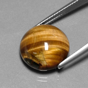 Tiger's Eye طبيعي بلون بني ذهبي، وزن ‎11.83‎ قيراط، شكل دائري، مقاس ‎14.84‎ مم