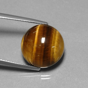 Tiger's Eye طبيعي بلون بني ذهبي، وزن ‎11.77‎ قيراط، شكل دائري، مقاس ‎14.85‎ مم