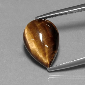 Tiger's Eye طبيعي بلون بني ذهبي، وزن ‎5.33‎ قيراط، شكل شكل الكمثرى، مقاس ‎14.2x10.2‎ مم