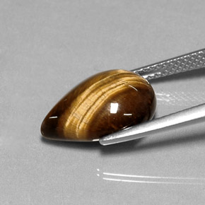 Tiger's Eye طبيعي بلون بني ذهبي، وزن ‎5.17‎ قيراط، شكل شكل الكمثرى، مقاس ‎14.2x10.2‎ مم
