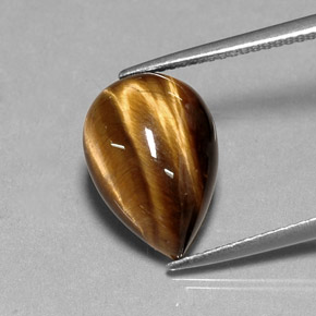Tiger's Eye طبيعي بلون بني ذهبي، وزن ‎5.36‎ قيراط، شكل شكل الكمثرى، مقاس ‎14.3x10.1‎ مم