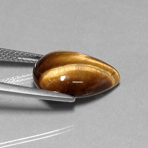Tiger's Eye طبيعي بلون بني ذهبي، وزن ‎5.36‎ قيراط، شكل شكل الكمثرى، مقاس ‎14.3x10.1‎ مم