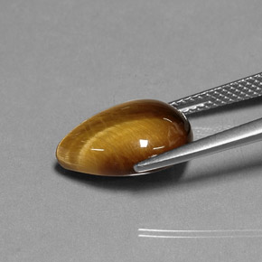 Tiger's Eye طبيعي بلون بني ذهبي، وزن ‎5.16‎ قيراط، شكل شكل الكمثرى، مقاس ‎13.9x10.1‎ مم