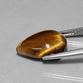 Tiger's Eye طبيعي بلون بني ذهبي، وزن ‎5.18‎ قيراط، شكل شكل الكمثرى، مقاس ‎14.1x10.1‎ مم