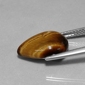 Tiger's Eye طبيعي بلون بني ذهبي، وزن ‎5.02‎ قيراط، شكل شكل الكمثرى، مقاس ‎14x10.1‎ مم