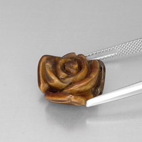 عين النمر ذهب البنى طبيعي، شكل خيالي، 10.71 قيراط، غير شفاف