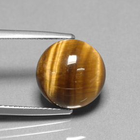 Tiger's Eye طبيعي بلون بني ذهبي، وزن ‎6.69‎ قيراط، شكل دائري، مقاس ‎12.07‎ مم