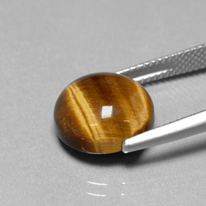 Tiger's Eye طبيعي بلون بني ذهبي، وزن ‎6.69‎ قيراط، شكل دائري، مقاس ‎12.07‎ مم