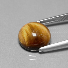 Tiger's Eye طبيعي بلون بني ذهبي، وزن ‎6.68‎ قيراط، شكل دائري، مقاس ‎12.01‎ مم