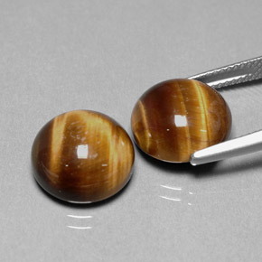 Tiger's Eye طبيعي بلون بني ذهبي، وزن ‎‎ قيراط، شكل دائري، مقاس ‎12.01‎ مم