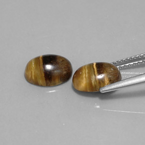 Tiger's Eye طبيعي بلون بني ذهبي، وزن ‎‎ قيراط، شكل بيضاوى، مقاس ‎8.8x6.8‎ مم