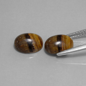 Tiger's Eye طبيعي بلون بني ذهبي، وزن ‎‎ قيراط، شكل بيضاوى، مقاس ‎8.9x7‎ مم