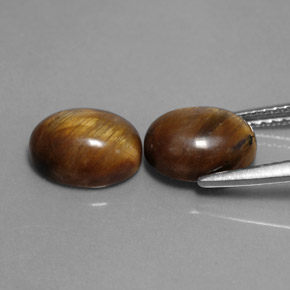 Tiger's Eye طبيعي بلون بني ذهبي، وزن ‎‎ قيراط، شكل بيضاوى، مقاس ‎9x7‎ مم
