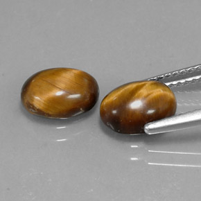 Tiger's Eye طبيعي بلون بني ذهبي، وزن ‎1.59‎ قيراط، شكل بيضاوى، مقاس ‎8.7x6.8‎ مم