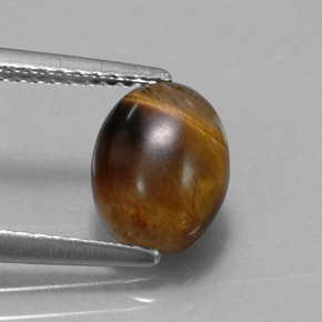 Tiger's Eye طبيعي بلون بني ذهبي، وزن ‎1.55‎ قيراط، شكل بيضاوى، مقاس ‎8.8x6.8‎ مم