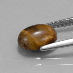 Tiger's Eye طبيعي بلون بني ذهبي، وزن ‎1.55‎ قيراط، شكل بيضاوى، مقاس ‎8.8x6.8‎ مم