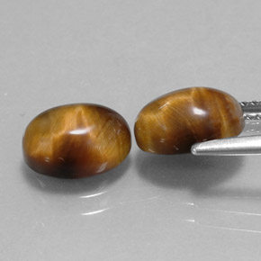 Tiger's Eye طبيعي بلون بني ذهبي، وزن ‎‎ قيراط، شكل بيضاوى، مقاس ‎9.1x7‎ مم