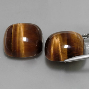 Tiger's Eye طبيعي بلون بني ذهبي، وزن ‎‎ قيراط، شكل قطع وسادة، مقاس ‎15.2x15.1‎ مم
