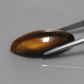 عين النمر ذهب البنى طبيعي، ماركيز، 12.68 قيراط، غير شفاف