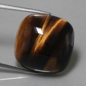 Tiger's Eye طبيعي بلون بني ذهبي، وزن ‎28.03‎ قيراط، شكل قطع وسادة، مقاس ‎19.9x19.9‎ مم