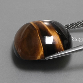Tiger's Eye طبيعي بلون بني ذهبي، وزن ‎28.03‎ قيراط، شكل قطع وسادة، مقاس ‎19.9x19.9‎ مم