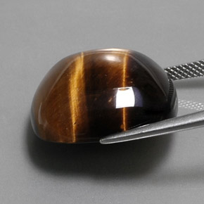 عين النمر ذهب البنى طبيعي، قطع وسادة، 27.92 قيراط، غير شفاف