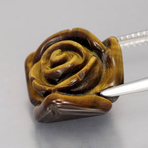 Tiger's Eye طبيعي بلون بني ذهبي، وزن ‎12.47‎ قيراط، شكل شكل خيالي، مقاس ‎15.8x15‎ مم