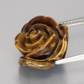 عين النمر ذهب البنى طبيعي، شكل خيالي، 11.11 قيراط، غير شفاف