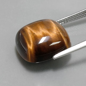 Tiger's Eye طبيعي بلون بني ذهبي، وزن ‎13.79‎ قيراط، شكل قطع وسادة، مقاس ‎15.1x15.1‎ مم