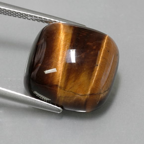 Tiger's Eye طبيعي بلون بني ذهبي، وزن ‎13.67‎ قيراط، شكل قطع وسادة، مقاس ‎15.4x15.3‎ مم
