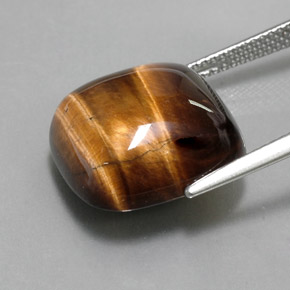 Tiger's Eye طبيعي بلون بني ذهبي، وزن ‎13.67‎ قيراط، شكل قطع وسادة، مقاس ‎15.4x15.3‎ مم