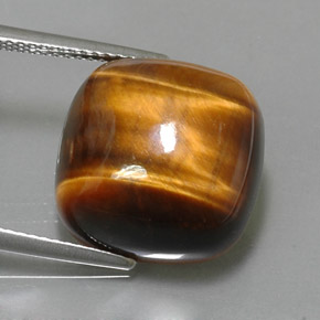Tiger's Eye طبيعي بلون بني ذهبي، وزن ‎13.02‎ قيراط، شكل قطع وسادة، مقاس ‎15.1x15.1‎ مم