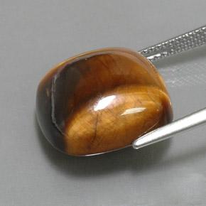 Tiger's Eye طبيعي بلون بني ذهبي، وزن ‎13.02‎ قيراط، شكل قطع وسادة، مقاس ‎15.1x15.1‎ مم