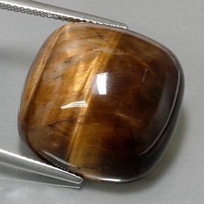 Tiger's Eye طبيعي بلون بني ذهبي، وزن ‎27.19‎ قيراط، شكل قطع وسادة، مقاس ‎19.9x19.9‎ مم