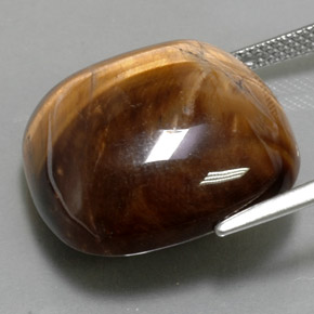 Tiger's Eye طبيعي بلون بني ذهبي، وزن ‎27.19‎ قيراط، شكل قطع وسادة، مقاس ‎19.9x19.9‎ مم