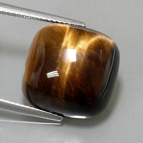 Tiger's Eye طبيعي بلون بني ذهبي، وزن ‎13.38‎ قيراط، شكل قطع وسادة، مقاس ‎15.4x15.3‎ مم