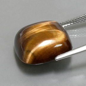 Tiger's Eye طبيعي بلون بني ذهبي، وزن ‎13.38‎ قيراط، شكل قطع وسادة، مقاس ‎15.4x15.3‎ مم