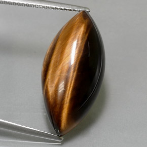 Tiger's Eye طبيعي بلون بني ذهبي، وزن ‎12.99‎ قيراط، شكل ماركيز، مقاس ‎24.8x12‎ مم