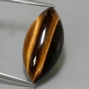 Tiger's Eye طبيعي بلون بني ذهبي، وزن ‎13.60‎ قيراط، شكل ماركيز، مقاس ‎25x12.2‎ مم