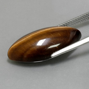 Tiger's Eye طبيعي بلون بني ذهبي، وزن ‎12.55‎ قيراط، شكل ماركيز، مقاس ‎24.4x11.8‎ مم